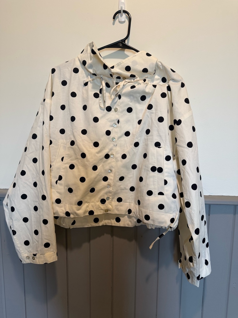 Zara Polka Dot Jacket